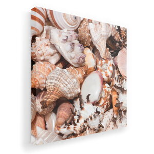 A[gpl G G  IׂTCY 455×455mm  XNGA _  ʐ^ tHg CeA  002925 C@Lk@ʐ^