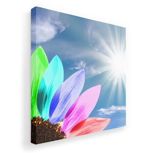 A[gpl G G  IׂTCY 333×333mm  XNGA _  ʐ^ tHg CeA  003165 ԁ@Jt@@ʐ^