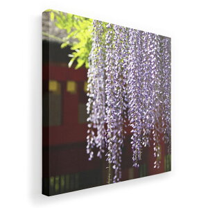 A[gpl G G  IׂTCY 333×333mm  XNGA _  ʐ^ tHg CeA  003257 ԁ@ʐ^@iF@i