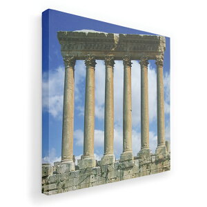 A[gpl G G  IׂTCY 455×455mm  XNGA _  ʐ^ tHg CeA  003262 O@ʐ^@iF@i