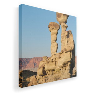 A[gpl G G  IׂTCY 455×455mm  XNGA _  ʐ^ tHg CeA  003263 O@ʐ^@iF@i
