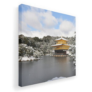 A[gpl G G  IׂTCY 455×455mm  XNGA _  ʐ^ tHg CeA  003269 ʐ^@iF@i