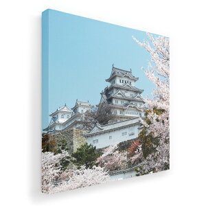 A[gpl G G  IׂTCY 333×333mm  XNGA _  ʐ^ tHg CeA  003277 ʐ^@iF@i