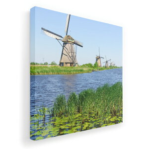 A[gpl G G  IׂTCY 333×333mm  XNGA _  ʐ^ tHg CeA  003280 O@ʐ^@iF@i