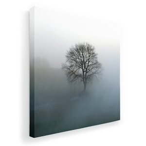 A[gpl G G  IׂTCY 333×333mm  XNGA _  ʐ^ tHg CeA  003319 i@iF@Vv