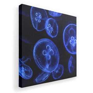 A[gpl G G  IׂTCY 333×333mm  XNGA _  ʐ^ tHg CeA  003336 炰@C@ʐ^