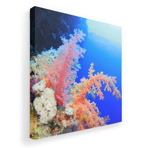 アートパネル 絵 絵画 飾り 選べるサイズ 455×455mm 正方 スクエア モダン 玄関 写真 フォト インテリア おしゃれ 003341 海 写真 景色 風景