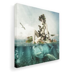 A[gpl G G  IׂTCY 455×455mm  XNGA _  ʐ^ tHg CeA  003346 l@Ol@C