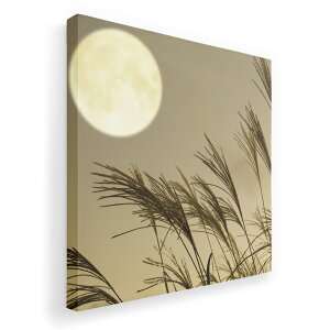 A[gpl G G  IׂTCY 333×333mm  XNGA _  ʐ^ tHg CeA  003409 ʐ^@iF@i