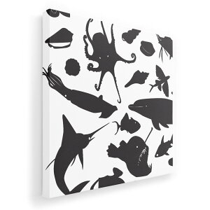 A[gpl G G  IׂTCY 455×455mm  XNGA _  ʐ^ tHg CeA  003424 C@@CXg