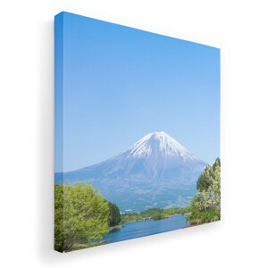 A[gpl G G  IׂTCY 455×455mm  XNGA _  ʐ^ tHg CeA  003576 i@iF@ʐ^