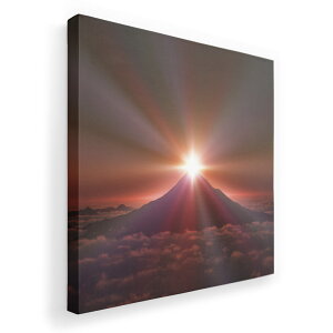 A[gpl G G  IׂTCY 455×455mm  XNGA _  ʐ^ tHg CeA  003591 iF@i