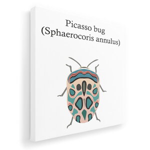 �A�[�g�p�l�� �G �G�� ���� �I�ׂ�T�C�Y 455×455mm ���� �X�N�G�A ���_�� ���� �ʐ^ �t�H�g �C���e���A ������� 020023 �� picasso bug �s�J�\�o�O