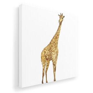 A[gpl G G  IׂTCY 455×455mm  XNGA _  ʐ^ tHg CeA  020029  i 