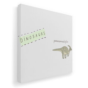 A[gpl G G  IׂTCY 333×333mm  XNGA _  ʐ^ tHg CeA  020782  pTEtX