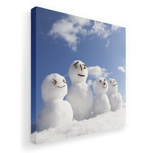 A[gpl G G  IׂTCY 333×333mm  XNGA _  ʐ^ tHg CeA  004505 Xm[}@~@@ʐ^