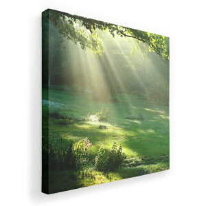 A[gpl G G  IׂTCY 333×333mm  XNGA _  ʐ^ tHg CeA  004644 X@ʐ^@iF