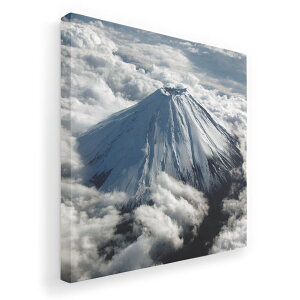 A[gpl G G  IׂTCY 455×455mm  XNGA _  ʐ^ tHg CeA  004735 ʐ^@iF@i