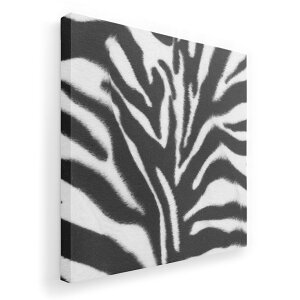 A[gpl G G  IׂTCY 455×455mm  XNGA _  ʐ^ tHg CeA  004744 [u@͗l