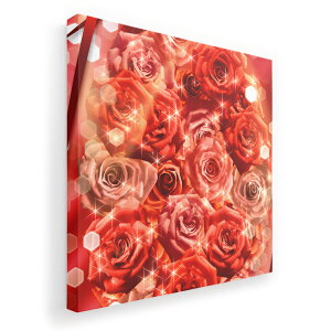 �A�[�g�p�l�� �G �G�� ���� �I�ׂ�T�C�Y 455×455mm ���� �X�N�G�A ���_�� ���� �ʐ^ �t�H�g �C���e���A ������� 004966 �K�N�@�ԁ@�ʐ^