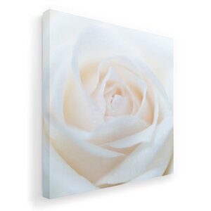 �A�[�g�p�l�� �G �G�� ���� �I�ׂ�T�C�Y 455×455mm ���� �X�N�G�A ���_�� ���� �ʐ^ �t�H�g �C���e���A ������� 005080 ���@�K�N�@�ʐ^