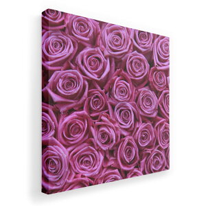 �A�[�g�p�l�� �G �G�� ���� �I�ׂ�T�C�Y 333×333mm ���� �X�N�G�A ���_�� ���� �ʐ^ �t�H�g �C���e���A ������� 005129 �K�N�@���@�ʐ^