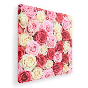 A[gpl G G  IׂTCY 333×333mm  XNGA _  ʐ^ tHg CeA  005272 KN@sN@@