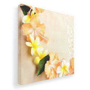 A[gpl G G  IׂTCY 333×333mm  XNGA _  ʐ^ tHg CeA  005419 ʐ^@ԁ@t[@