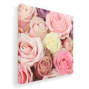 A[gpl G G  IׂTCY 333×333mm  XNGA _  ʐ^ tHg CeA  005493 ʐ^@ԁ@t[