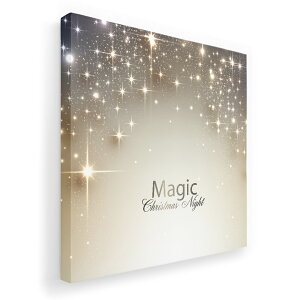 A[gpl G G  IׂTCY 333×333mm  XNGA _  ʐ^ tHg CeA  005770 NX}X@炫