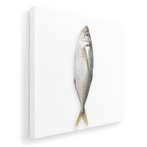 A[gpl G G  IׂTCY 455×455mm  XNGA _  ʐ^ tHg CeA  005850 ʐ^@@