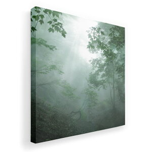 A[gpl G G  IׂTCY 455×455mm  XNGA _  ʐ^ tHg CeA  005872 ʐ^@X@