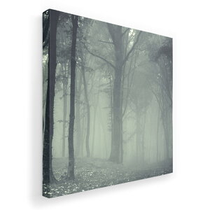 A[gpl G G  IׂTCY 455×455mm  XNGA _  ʐ^ tHg CeA  005899 ʐ^@X@