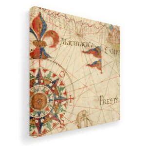 A[gpl G G  IׂTCY 455×455mm  XNGA _  ʐ^ tHg CeA  006022 n}@p@E