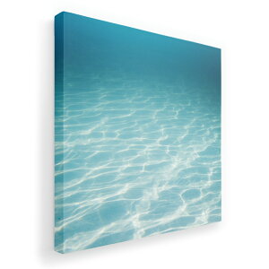 A[gpl G G  IׂTCY 455×455mm  XNGA _  ʐ^ tHg CeA  006566 ʐ^@C