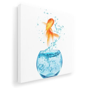 A[gpl G G  IׂTCY 455×455mm  XNGA _  ʐ^ tHg CeA  006575 񂬂@ʐ^@