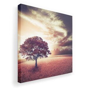 A[gpl G G  IׂTCY 455×455mm  XNGA _  ʐ^ tHg CeA  006618 ʐ^@@