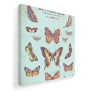 A[gpl G G  IׂTCY 455×455mm  XNGA _  ʐ^ tHg CeA  006641 @CXg