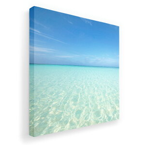 A[gpl G G  IׂTCY 455×455mm  XNGA _  ʐ^ tHg CeA  006724 ʐ^@C@