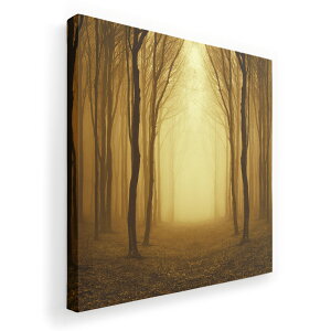 アートパネル 絵 絵画 飾り 選べるサイズ 333×333mm 正方 スクエア モダン 玄関 写真 フォト インテリア おしゃれ 007665 写真 木 植物 森