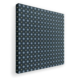 �A�[�g�p�l�� �G �G�� ���� �I�ׂ�T�C�Y 333×333mm ���� �X�N�G�A ���_�� ���� �ʐ^ �t�H�g �C���e���A ������� 007915 ���@�X�^�[�@���@�u���b�N�@�͗l