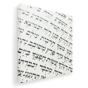 A[gpl G G  IׂTCY 333×333mm  XNGA _  ʐ^ tHg CeA  007967 @{@m[g@@ʐ^
