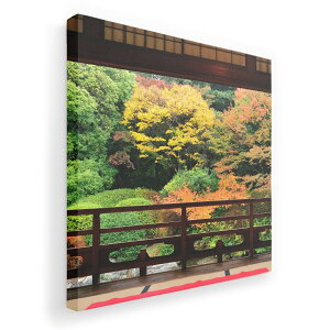 A[gpl G G  IׂTCY 455×455mm  XNGA _  ʐ^ tHg CeA  008066 ʐ^@a@@H@gt