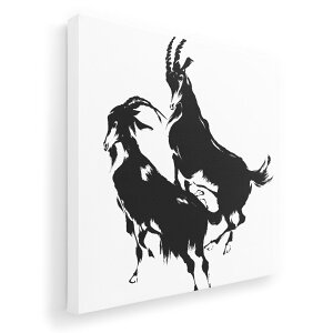 A[gpl G G  IׂTCY 333×333mm  XNGA _  ʐ^ tHg CeA  008152 €@Rr@@