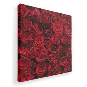 �A�[�g�p�l�� �G �G�� ���� �I�ׂ�T�C�Y 333×333mm ���� �X�N�G�A ���_�� ���� �ʐ^ �t�H�g �C���e���A ������� 008204 �ԁ@�t�����[�@�ʐ^�@�K�N�@�ԁ@���b�h