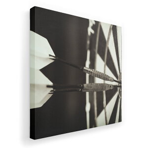 A[gpl G G  IׂTCY 333×333mm  XNGA _  ʐ^ tHg CeA  008208 mN@ʐ^@_[c@