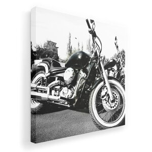 A[gpl G G  IׂTCY 455×455mm  XNGA _  ʐ^ tHg CeA  008687 ʐ^@oCN@mN@