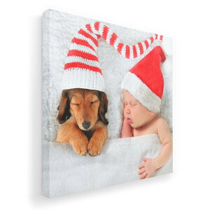 A[gpl G G  IׂTCY 455×455mm  XNGA _  ʐ^ tHg CeA  008803 ʐ^@@~@