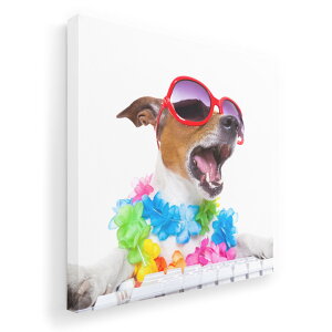 A[gpl G G  IׂTCY 455×455mm  XNGA _  ʐ^ tHg CeA  008914 ʐ^@Jt@@