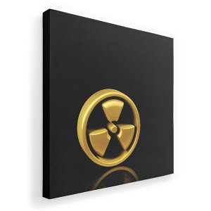 A[gpl G G  IׂTCY 455×455mm  XNGA _  ʐ^ tHg CeA  008917 @ubN@}[N